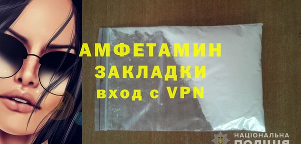 крисы Бронницы
