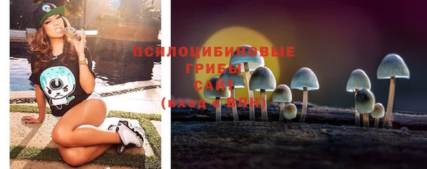 ГАЛЛЮЦИНОГЕННЫЕ ГРИБЫ Бородино