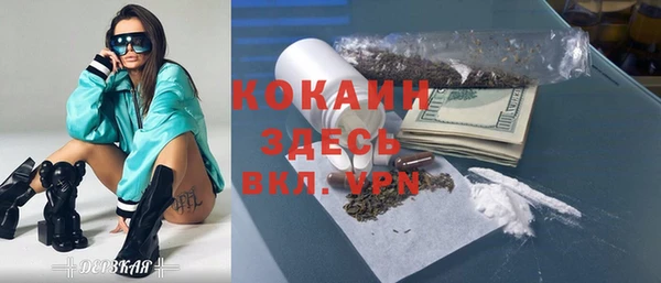 ГАЛЛЮЦИНОГЕННЫЕ ГРИБЫ Бородино