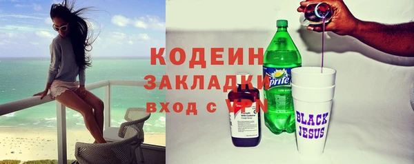ГАЛЛЮЦИНОГЕННЫЕ ГРИБЫ Бородино