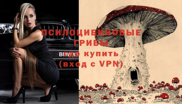 амф Бугульма