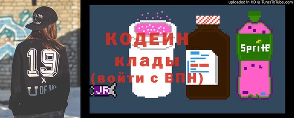 крисы Бронницы