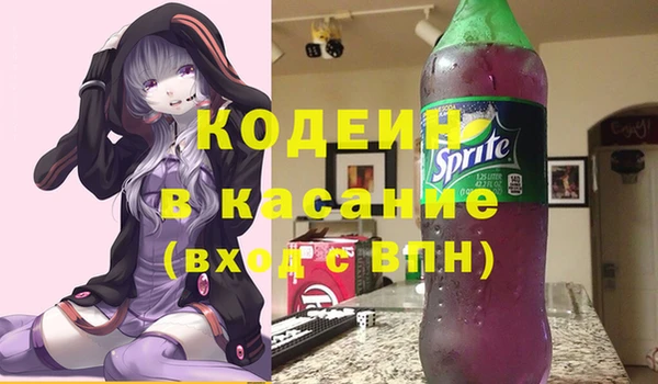 ГАЛЛЮЦИНОГЕННЫЕ ГРИБЫ Бородино