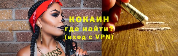 ГАЛЛЮЦИНОГЕННЫЕ ГРИБЫ Бородино