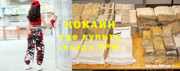 крисы Бронницы