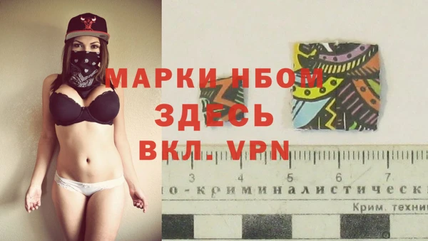 крисы Бронницы