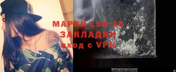 ГАЛЛЮЦИНОГЕННЫЕ ГРИБЫ Бородино