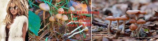 амф Бугульма
