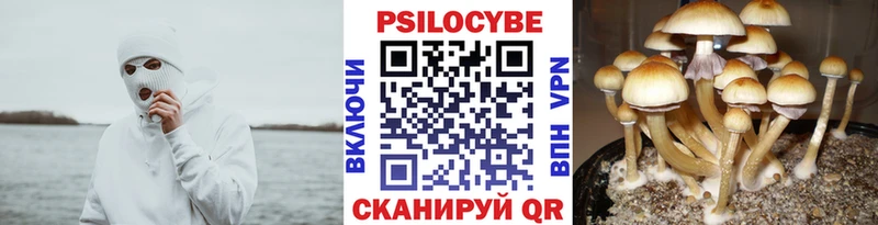 Галлюциногенные грибы прущие грибы  наркота  Венёв 