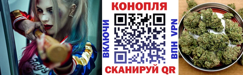 гидра как зайти  Венёв  Канабис сатива 